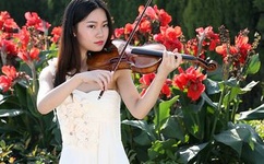 仙踪林直接入站网